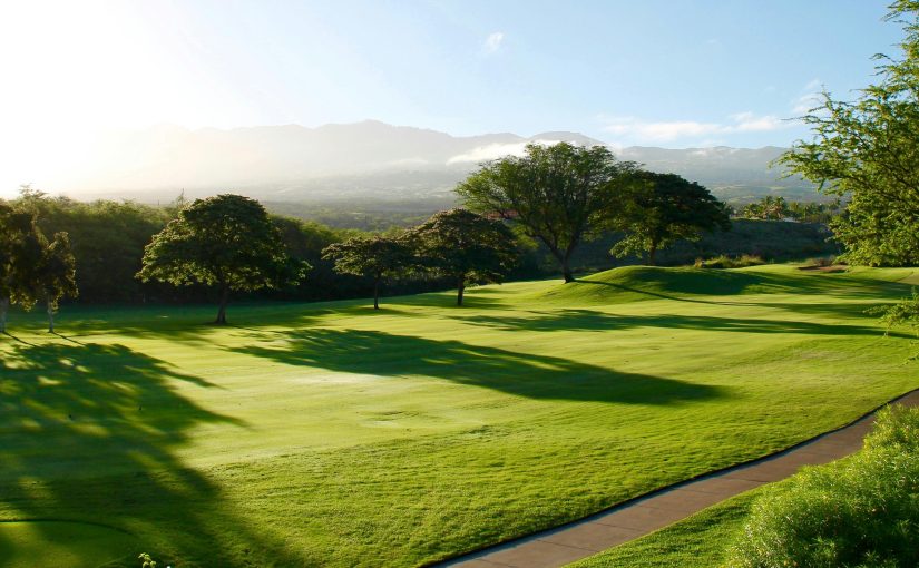 nutrición campos de golf